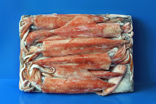 魷魚(yú)原料